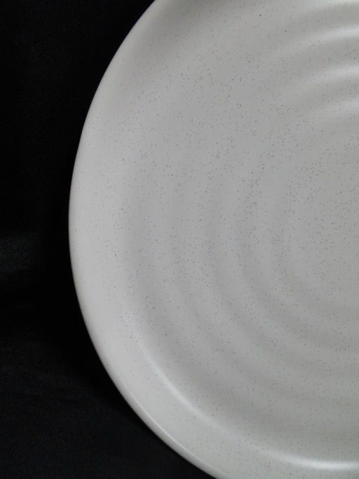 Steelite Robert Gordon Potter's Collection: NEW Shell Salad Plate (s), 7 1/2"