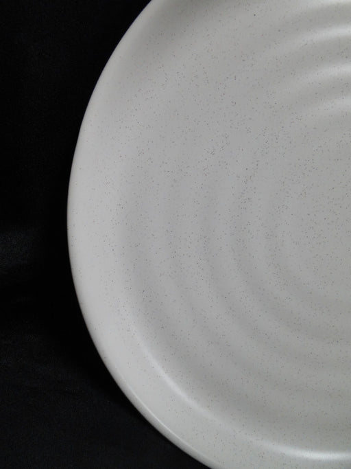 Steelite Robert Gordon Potter's Collection: NEW Shell Dinner Plate (s), 10 1/2"