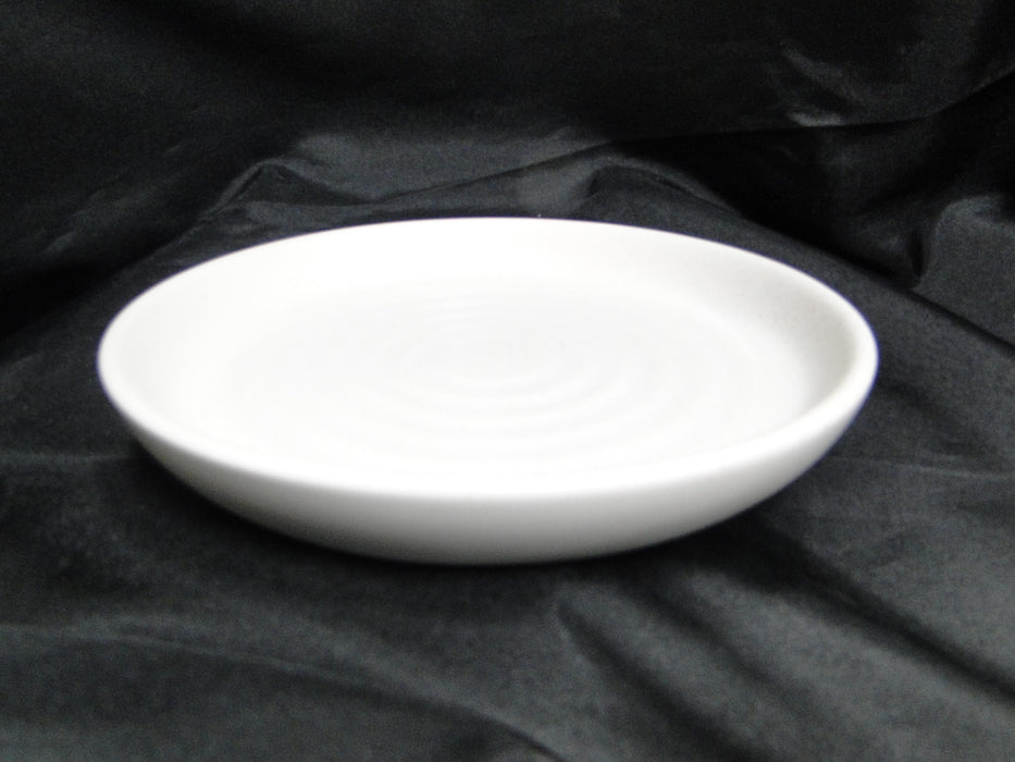 Steelite Robert Gordon Potter's Collection: NEW Shell Salad Plate (s), 7 1/2"