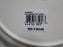 Spode Woodland Flat Coat Pointer Hunting Dog: NEW Dinner Plate, 10 1/2", Box
