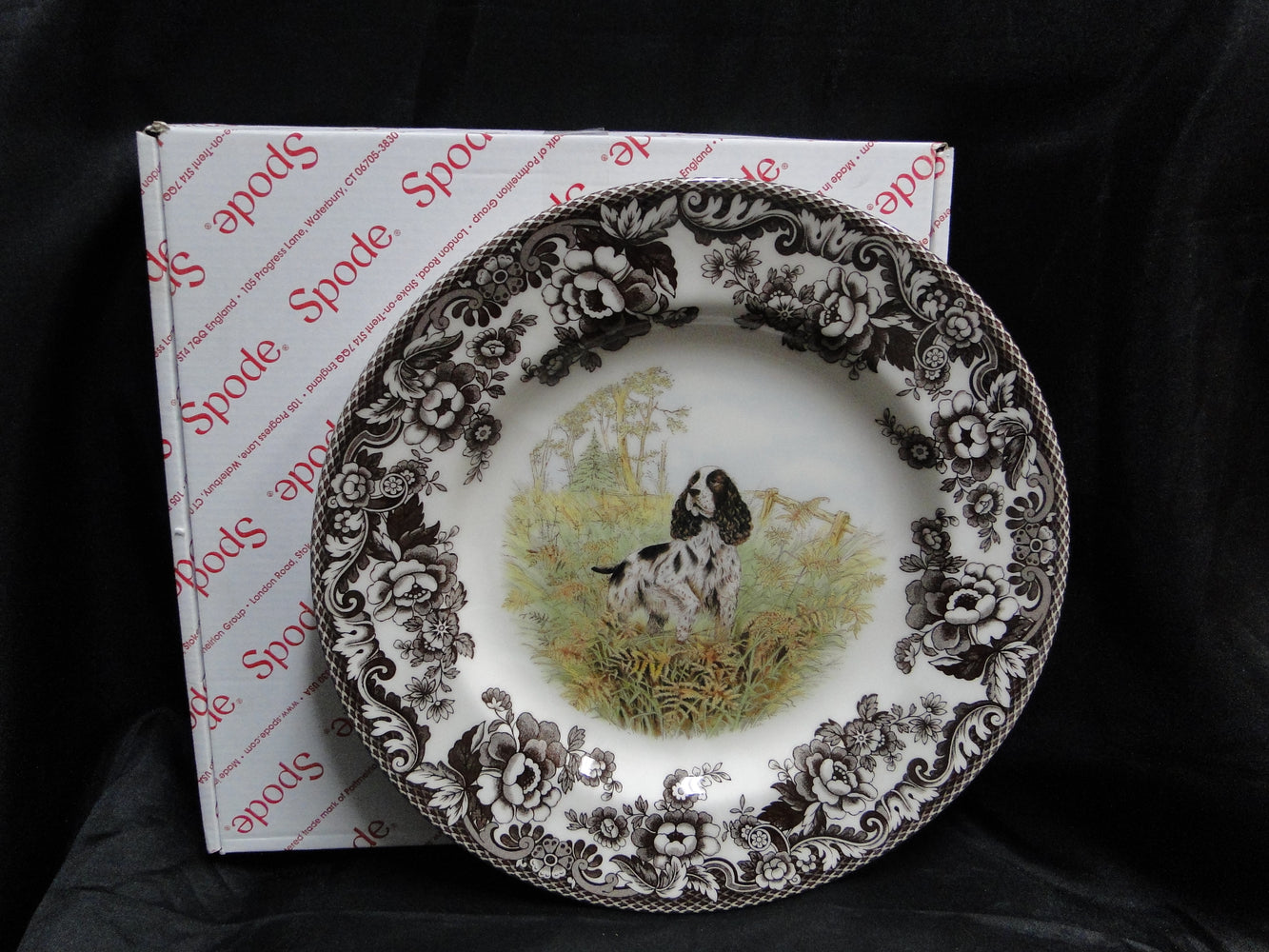 Spode Woodland English Springer Spaniel Hunting Dog: NEW Dinner Plate, Box