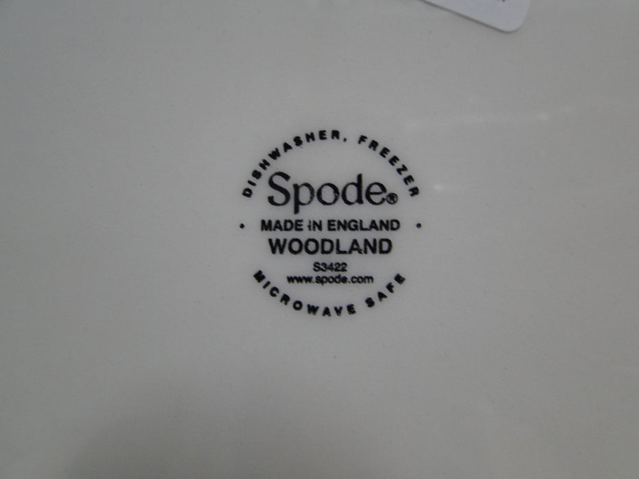 Spode Woodland English Springer Spaniel Hunting Dog: NEW Dinner Plate, Box