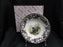 Spode Woodland Black Bear, England: NEW Ascot Salad / Soup Bowl, 8",  Box
