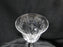 Lenox Castle Garden Crystal, Etched: Water or Wine Goblet (s), 7 5/8" Tall