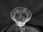 Lenox Castle Garden Crystal, Etched: Wine (s), 6 3/4" Tall