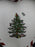 Spode Christmas Tree, Peppermint: Set of 4 Canape Heart Plates, 6", Box