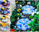 Mosaic Art Class Using Porcelain Plates: Select Your Project