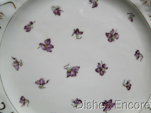 Victoria (Austria), White w/ Viotets & Pirced Rim: Salad Plate (s), 8 1/2"