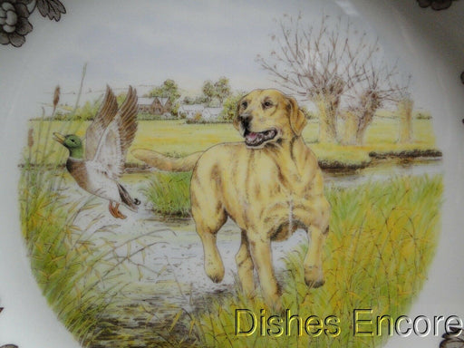 Spode Woodland Yellow Labrador Hunting Dog: NEW Dinner Plate (s) 10 1/2", Box