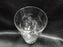 Clear w/ Gray Cut Flowers & Leaves: Flat Tumbler (s), 5 1/8" -- CR#088