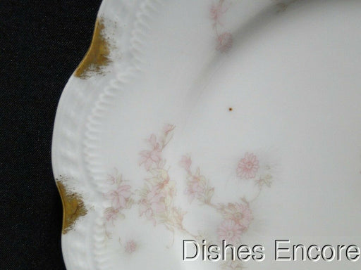 Haviland (Limoges) Schleiger 247d, Pale Pink Flowers: Salad Plate (s), 7 3/8"