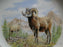 Spode Woodland Bighorn Sheep, England: NEW Salad Plate (s), 7 3/4", Box