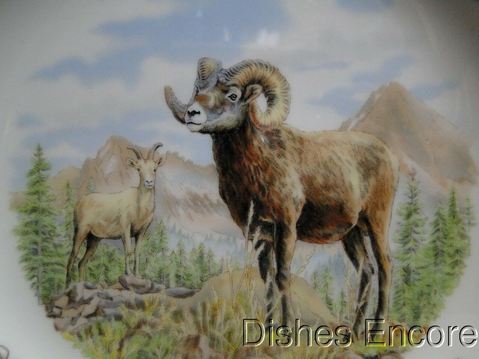 Spode Woodland Bighorn Sheep, England: NEW Salad Plate (s), 7 3/4", Box