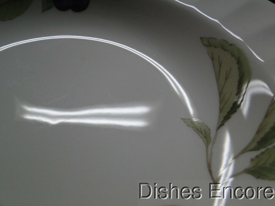 Mikasa Belle Terre CAJ05, Fruit: Rim Soup Bowl, 8 7/8"