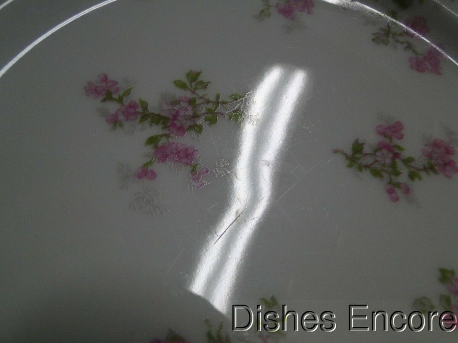 Haviland (Limoges) Schleiger 29a, Pink Flowers, Green: Luncheon Plate, 8 5/8"