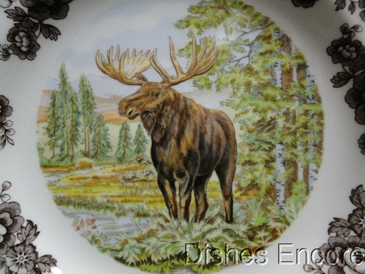 Spode Woodland Majestic Moose, England: NEW Dinner Plate (s), 10 1/2", Box