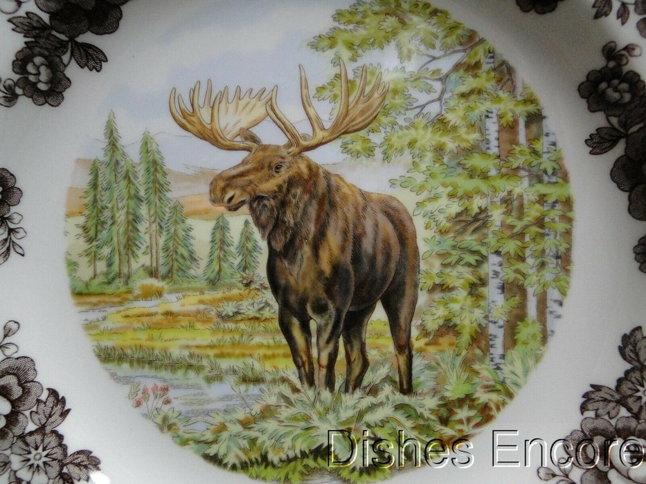Spode Woodland Majestic Moose, England: NEW Dinner Plate (s), 10 1/2", Box