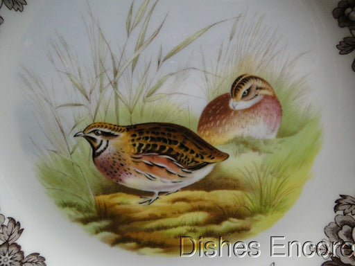 Spode Woodland Quail Game Bird, England: NEW Dinner Plate (s), 10 1/2", Box