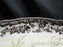 Spode Woodland King Salmon Fish: NEW Oval Platter, 18 1/2", Box