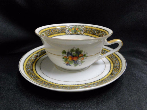 Royal Schwarzburg Docelie, Fruit, Yellow & Blue Bands: Cup & Saucer Set (s), 2"