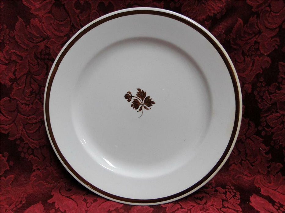 Meakin, Alfred Tea Leaf, Copper Tea Leaf Center: Luncheon Plate (s), As Is