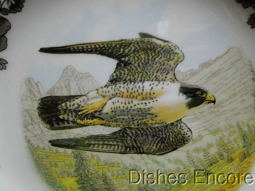 Spode Woodland Birds of Prey Summer Peregrine Falcon: NEW Dinner Plate, 10 1/2", Box