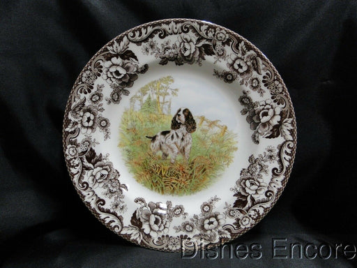 Spode Woodland English Springer Spaniel Hunting Dog: NEW Dinner Plate, Box