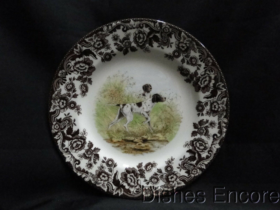 Spode Woodland Flat Coat Pointer Hunting Dog: NEW Salad Plate (s) 7 3/4", Box