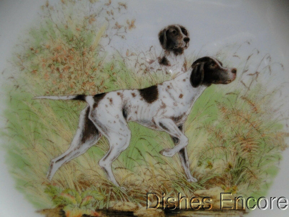 Spode Woodland Flat Coat Pointer Hunting Dog: NEW Salad Plate (s) 7 3/4", Box