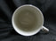 Spode Woodland King Salmon, North American Fish: NEW Mug (s), 4 1/4", 16 oz