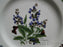 Royal Worcester Worcester Herbs: Salad Plate (s), 8 3/8", Sage, As Is