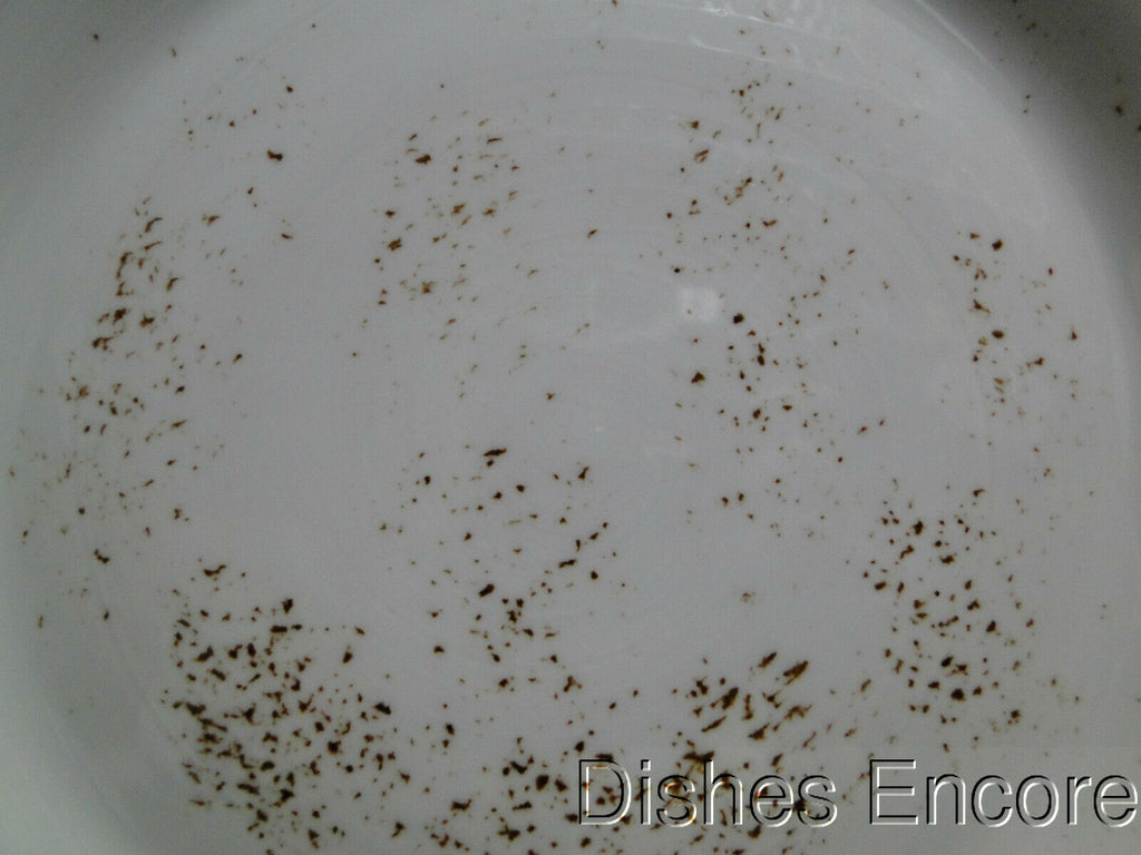 Steelite New Dinnerware — Dishes Encore