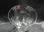 Clear w/ Gray Cut Flowers & Leaves, Optic: Flat Tumbler (s), 5 1/4" -- CR#089