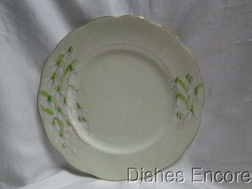 Royal Albert Laurentian Snowdrop, Pale Green, White Flowers: Dinner Plate, 10"
