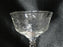 Rock Sharpe Normandy, Stem 3005, Cut Florals: Liquor Cocktail (s), 5 3/4" Tall