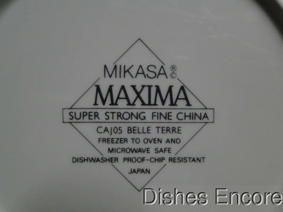 Mikasa Belle Terre CAJ05, Fruit: Salad Plate, 7 3/4", Worn