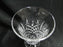Waterford Crystal Araglin, Vertical & Criss Cross Cuts: Iced Tea (s), 6 1/2"