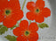 Lenox Fire Flower, Temperware: Bread Plate (s), 6 1/8"