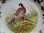 Spode Woodland Pheasant Game Bird, England: NEW Salad Plate (s), 7 3/4", Box