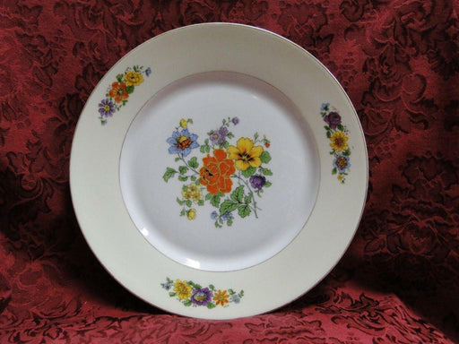 Thun Thu71 Floral Rim & Center, Cream Band: Dinner Plate (s), 9 5/8"