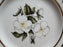 Royal Worcester Bernina, White & Yellow Flowers: Bread Plate (s), 6 1/8"