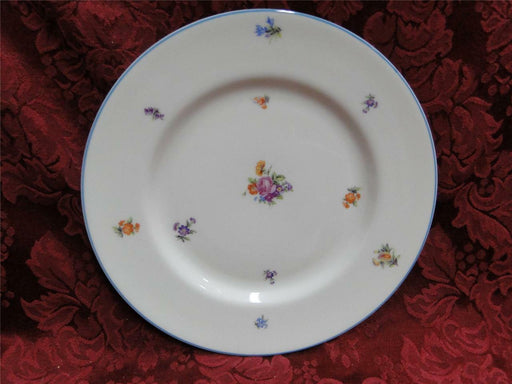 Edgerton Lorraine E220, Floral, Turquoise Trim: Salad Plate (s), 8 1/4"