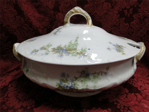 Haviland (Limoges) Schleiger 1022-1, Blue Floral: Round Tureen & Lid, As Is