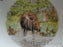 Spode Woodland Majestic Moose, England: NEW Ascot Salad / Soup Bowl, 8", Box