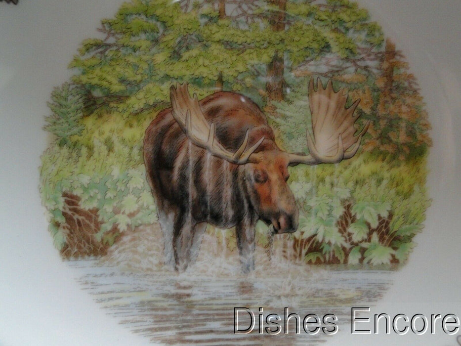Spode Woodland Majestic Moose, England: NEW Ascot Salad / Soup Bowl, 8", Box