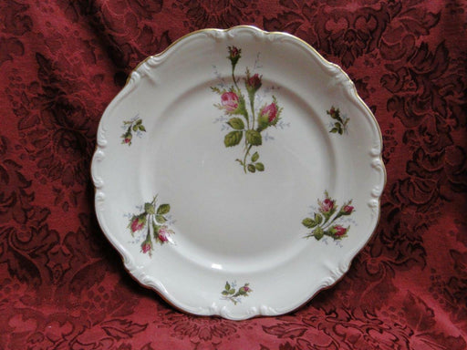 Rosenthal Moss Rose, Pompadour, Ivory: Dinner Plate (s), 10 1/8"