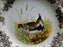 Spode Woodland Lapwing Game Bird, England: NEW Dinner Plate (s), 10 1/2", Box