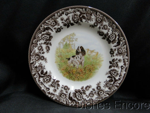 Spode Woodland English Springer Spaniel Hunting Dog: NEW Salad Plate, Box