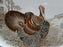 Johnson Brothers Barnyard King, Turkey: Oval Serving Platter, 20 1/4", As Is