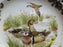 Spode Woodland Wood Duck, England: NEW Dinner Plate (s), 10 1/2", Box